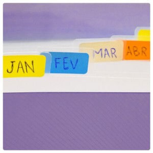 Pasta Sanfonada A4 com 12 Divisórias Lilás | Dac