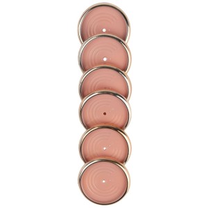 Discos + Elástico G Shimmering Rose | Caderno Inteligente